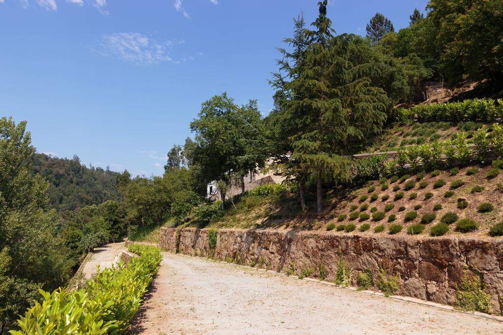 Douro Green Castelo de Paiva Exteriör bild