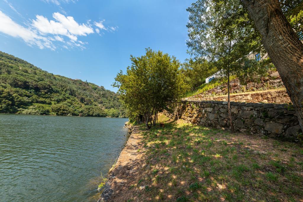 Douro Green Castelo de Paiva Exteriör bild